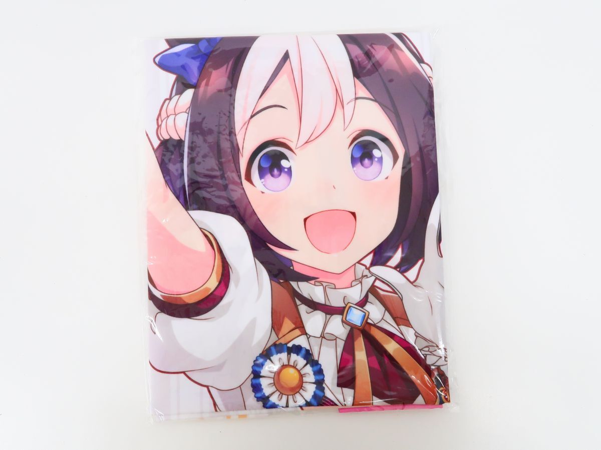 未使用】上田瞳/ゴールドシップ【ウマ娘 プリティーダービー】『4th