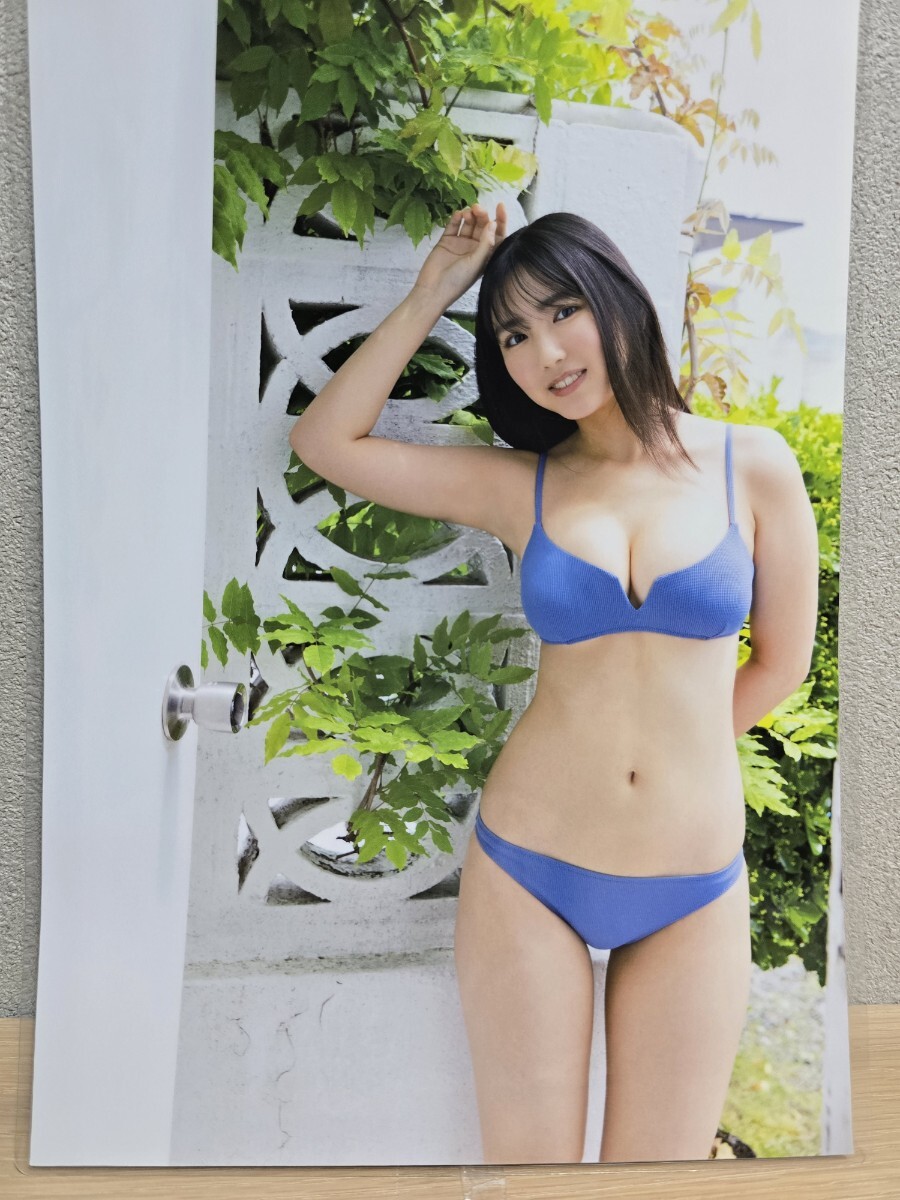 未使用】NMB48 本郷柚巴 抽プレ 当選 直筆サイン入りチェキ 当選証明書