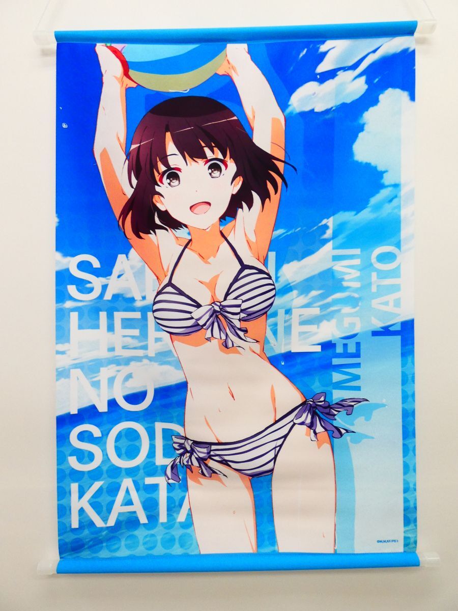 冴えない彼女の育てかた♭/全巻連動購入特典/深崎暮人描き下ろし お