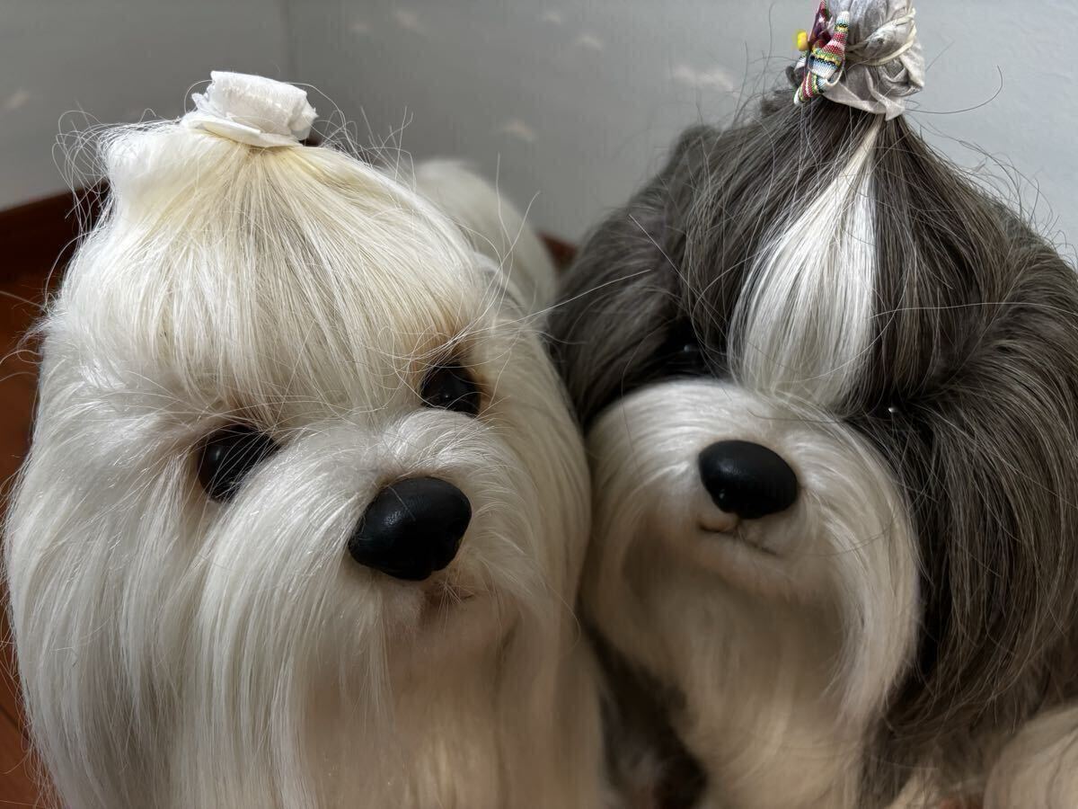 ☆FONTAINE DRESSY PET フォンテーヌ ドレッシーペット シーズー DP