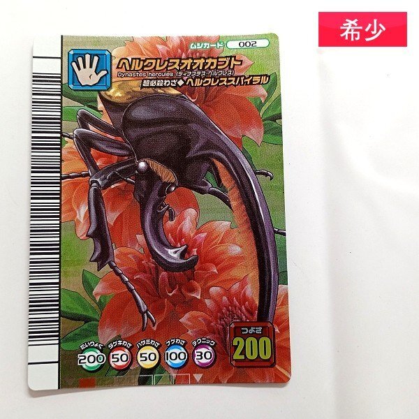 中古】5周年コレクション ヘルクレスオオカブト ヘルクレススパイラル