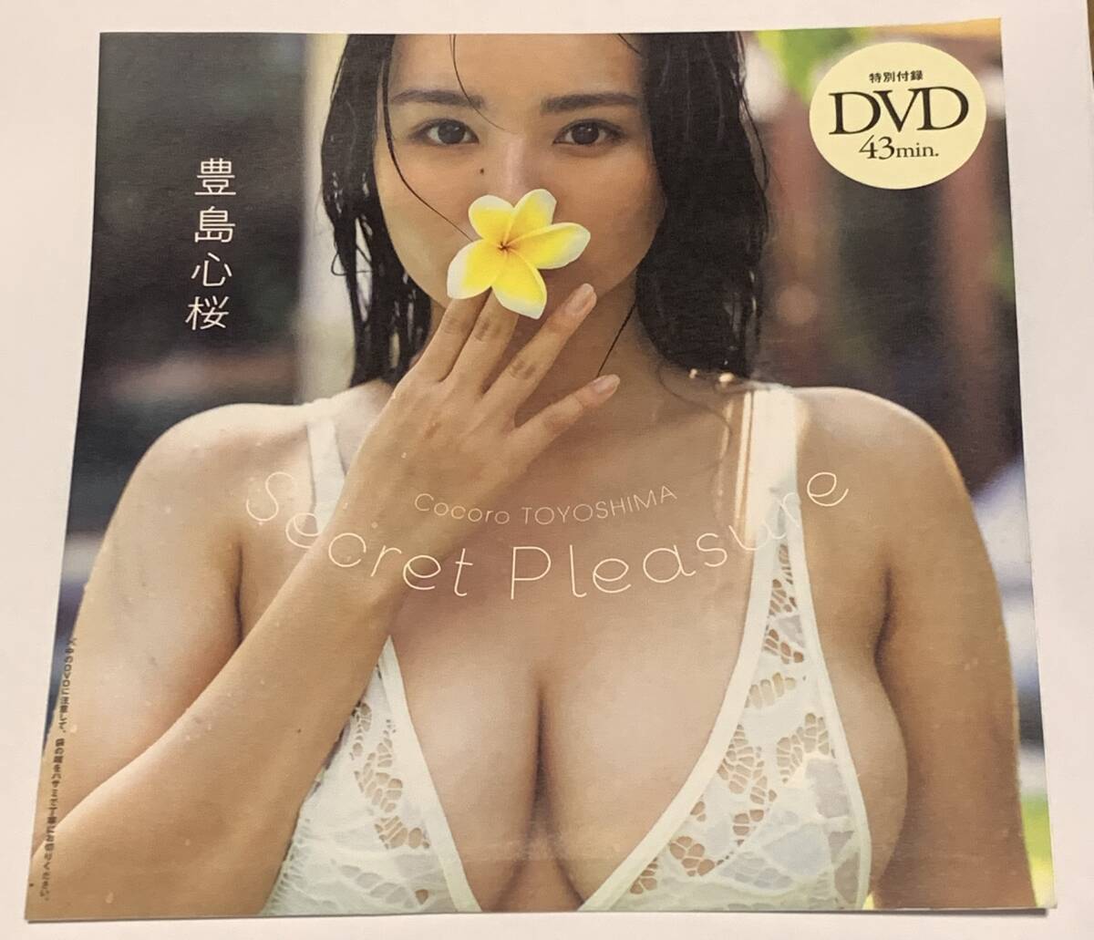 新品】アサ芸secret 等身大ポスター グラビアアイドル 川崎あや