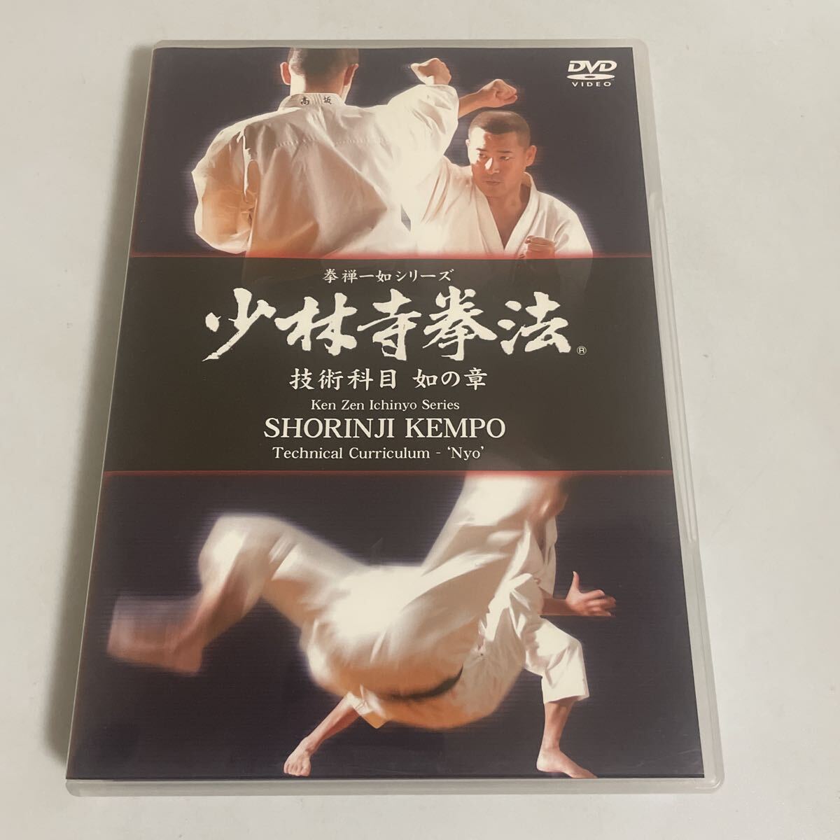 非売品】『門外秘 正統少林寺拳法 整体医法秘譜』宗道臣活法経絡経穴