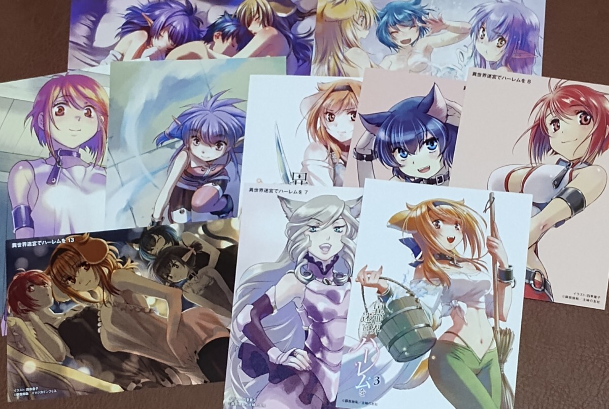 異世界迷宮でハーレムを 3巻4巻 アニメイト購入特典 イラストカード 特典 イラストカード 異世界迷宮でハーレムを 異世界迷宮でハーレムを