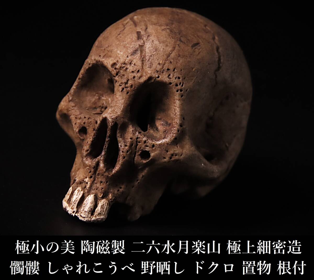 中古】【雲】希少 陶器製髑髏蛇形置物 しゃれこうべ 骸骨 古美術品