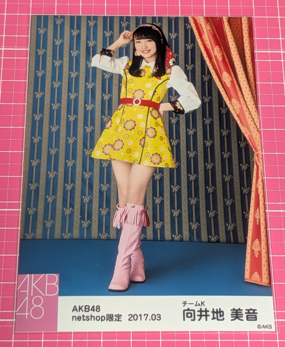 美品 AKB48 向井地美音 L判写真30枚セットまとめ売り マル秘お楽しみ