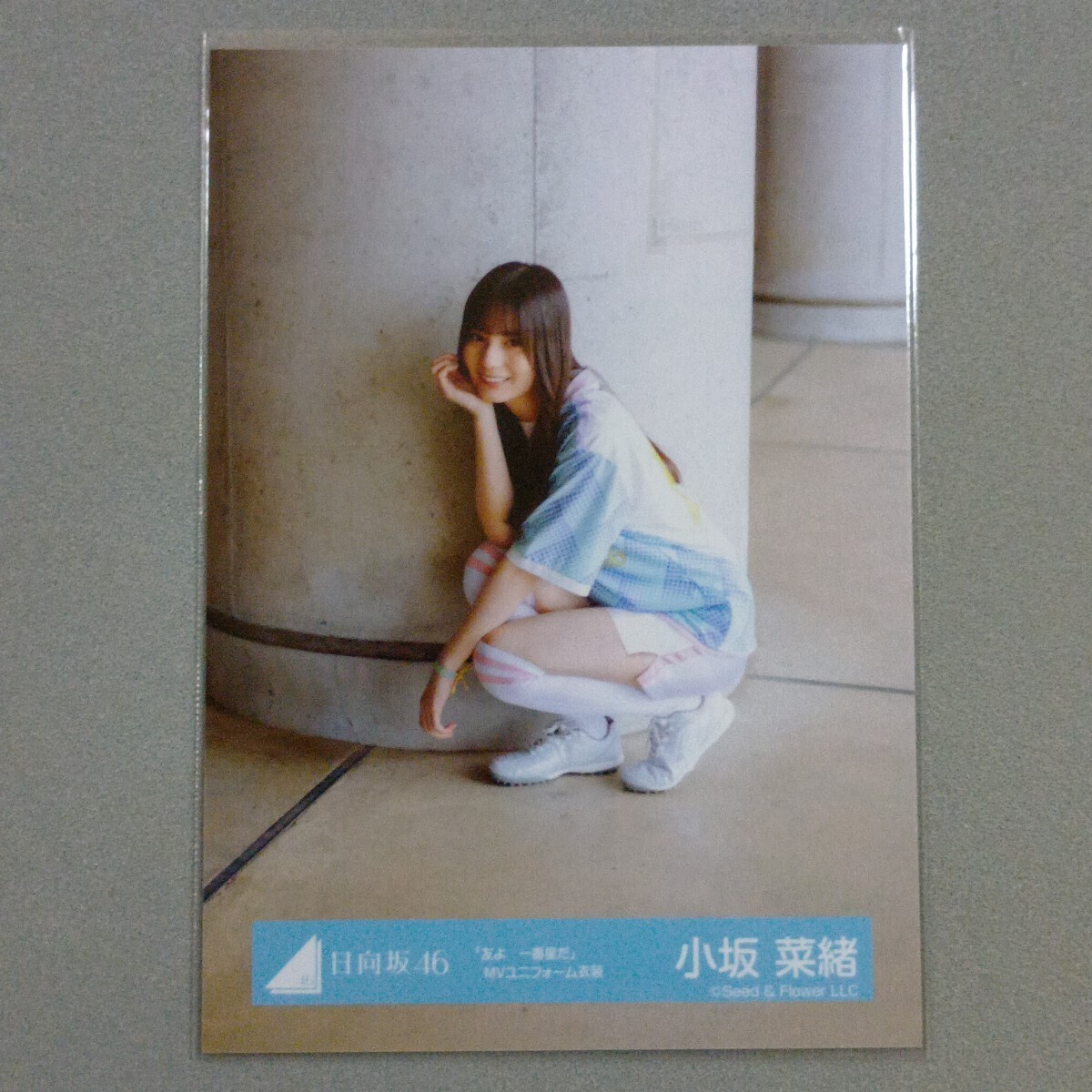 日向坂46 小坂菜緒 直筆サイン入り生写真B ☆証明シール付きの落札