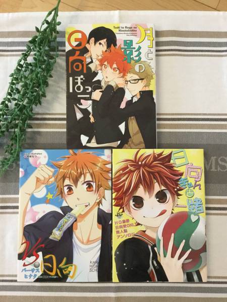 ハイキュー 日向 メイン まとめ 3冊セット コミック☆BL 同人