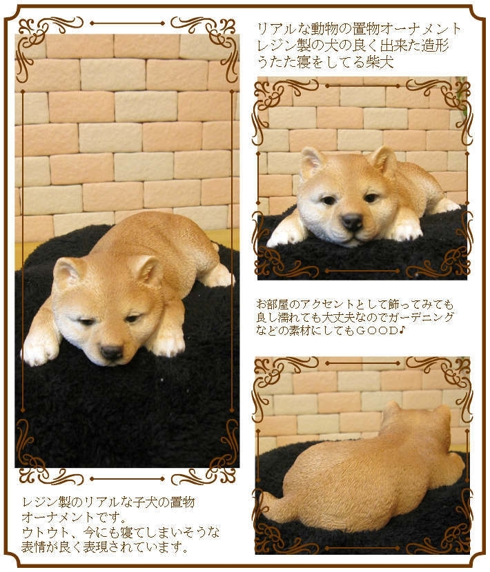 新品 柴犬 置物 ウトウト ねむねむ リアルな犬のオブジェ いぬのフィギュア ガーデニング イヌのインテリア 玄関先 レジン 陶器 の落札情報詳細 ヤフオク落札価格情報 オークフリー スマートフォン版