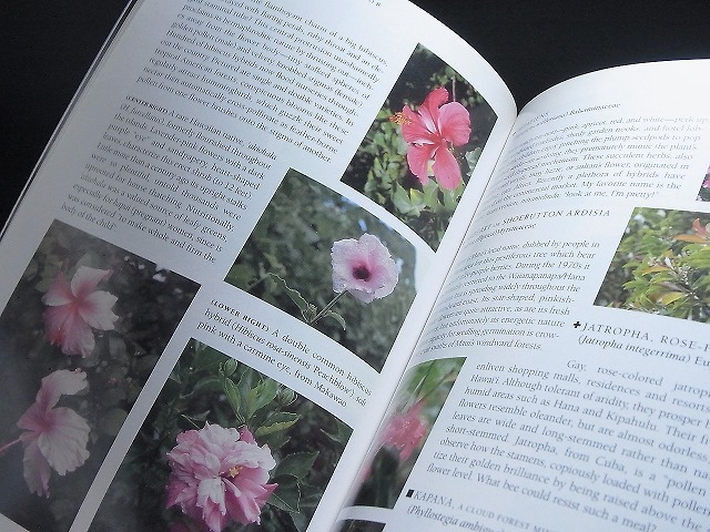 洋書 ハワイの花 Hawaii S Floral Splendor 全カラー写真 花の色別 Abc順 3種 巻末に英語名 ハワイ語名 学名の各索引 の落札情報詳細 ヤフオク落札価格情報 オークフリー スマートフォン版
