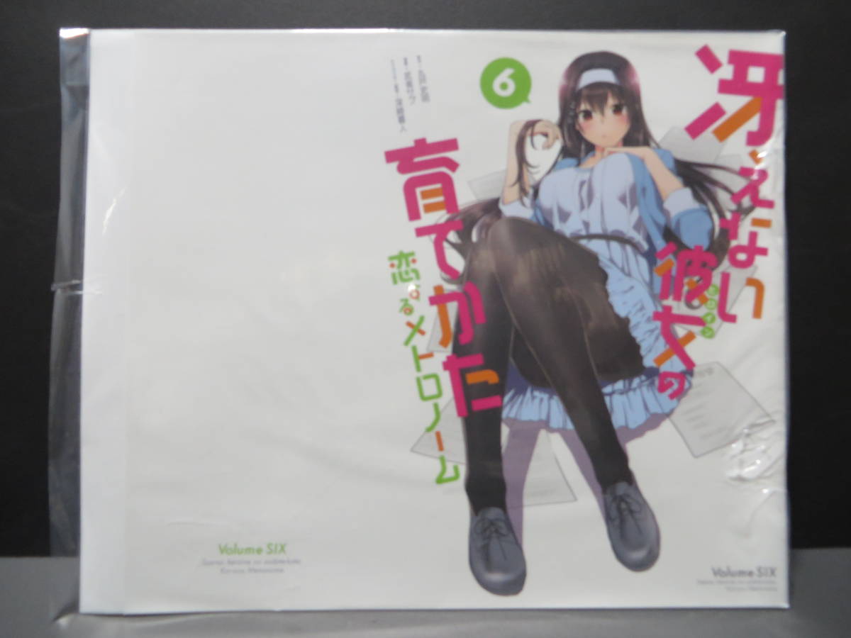 新品 冴えない彼女の育てかた 恋するメトロノーム 6 ゲーマーズ 限定 ブックカバー の落札情報詳細 ヤフオク落札価格情報 オークフリー スマートフォン版