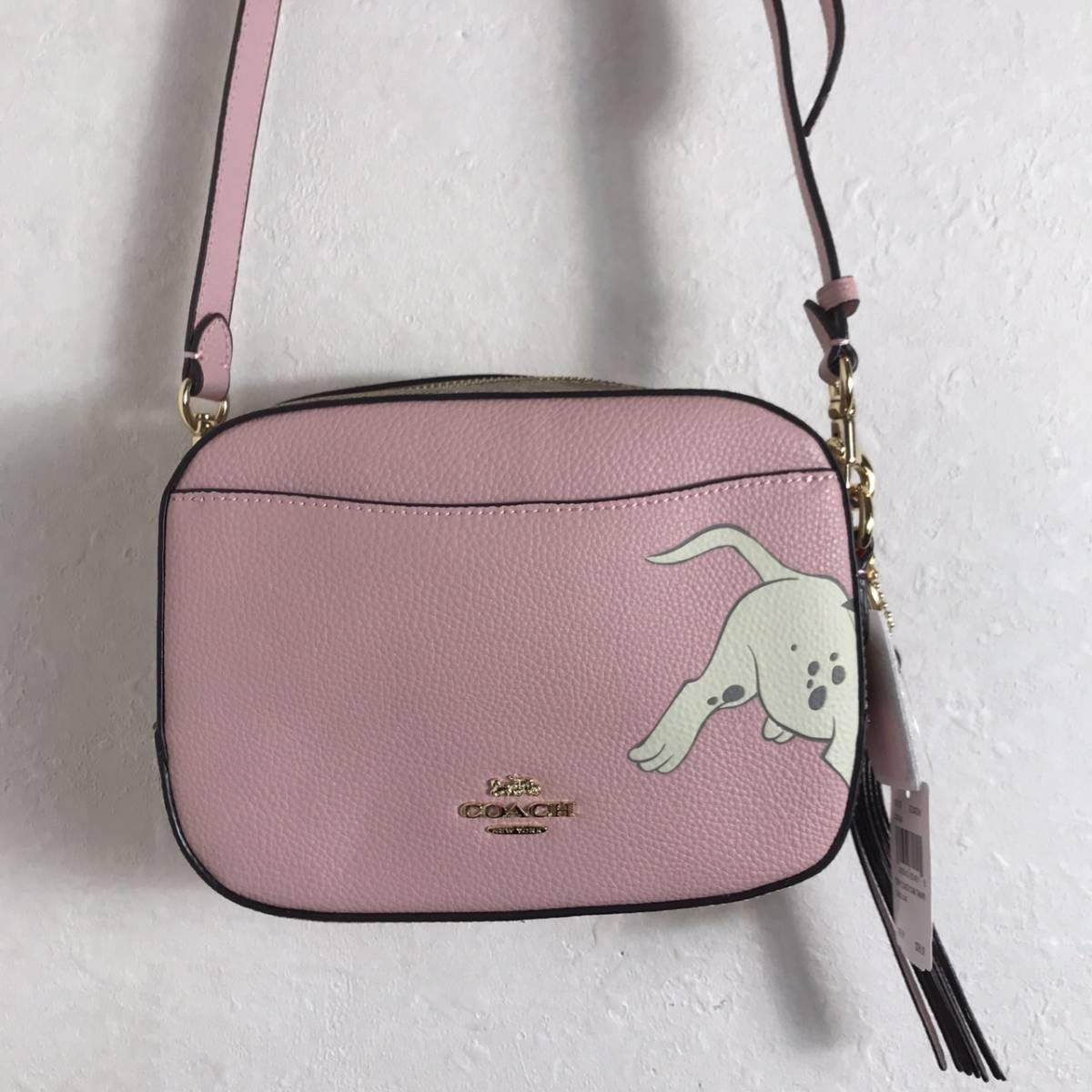 送料無料 新品 カメラ Coach X Disney コーチ バッグ Coach ショルダーバッグ ポシェット バッグ カバン Www Kappamuepsilon Org