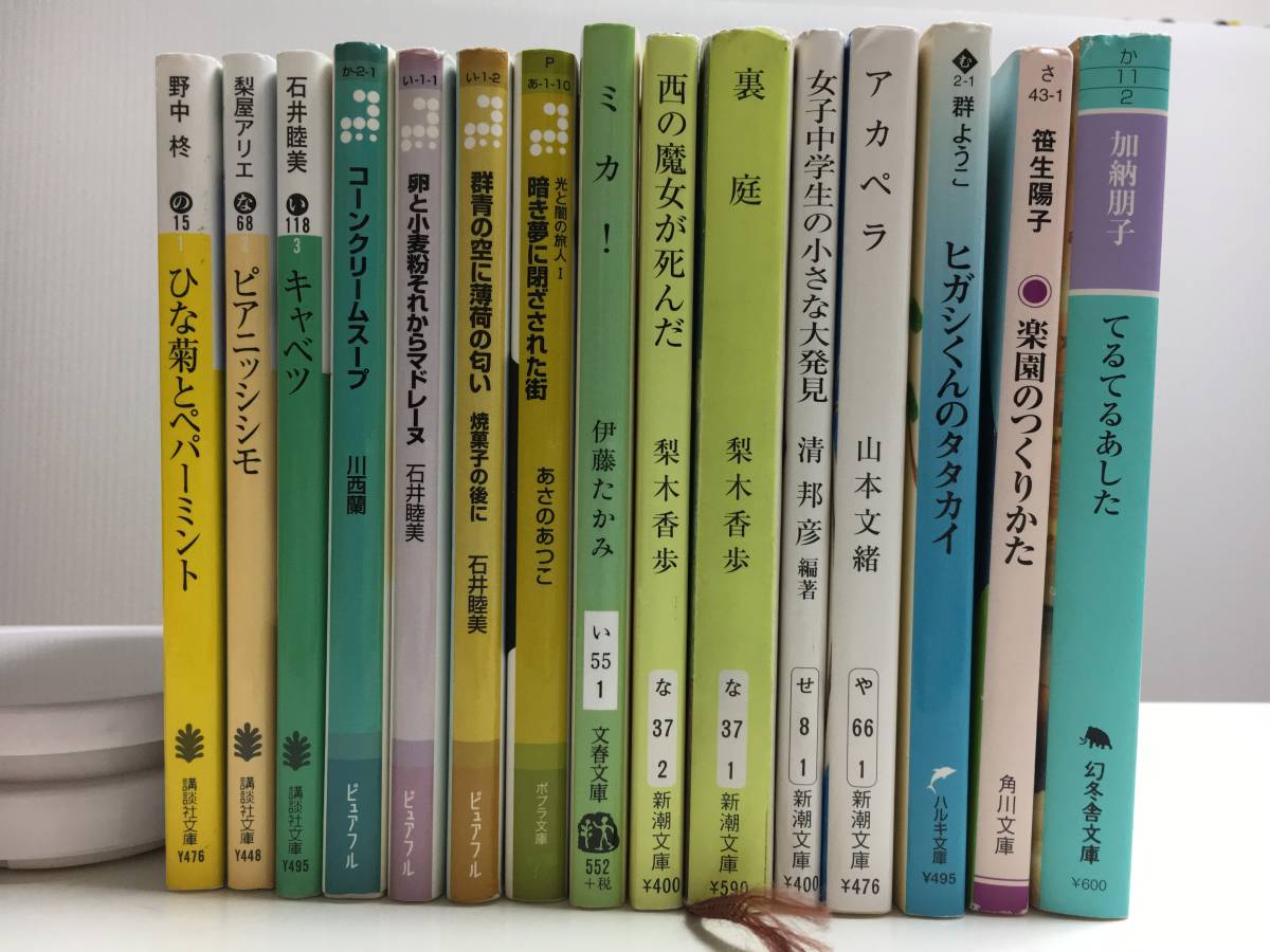 だいだい女子中学生くらい向けの文庫本 １５冊セット 梨木香歩 石井睦美 梨屋アリエ あさのあつこ 笹生陽子 伊藤たかみ 野中柊 の落札情報詳細 ヤフオク落札価格情報 オークフリー スマートフォン版