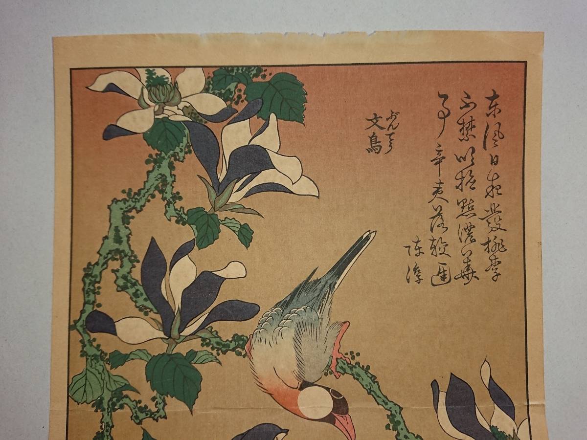 葛飾北斎/文鳥に辛夷花】検)花鳥蔵出し作家在銘江戸浮世絵師木版画錦絵
