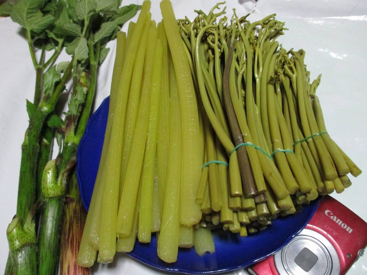 新品 岩手産 あく抜きわらび500ｇ 水ぶき500ｇ 山うど小2本5月29日12時まで の落札情報詳細 ヤフオク落札価格情報 オークフリー スマートフォン版