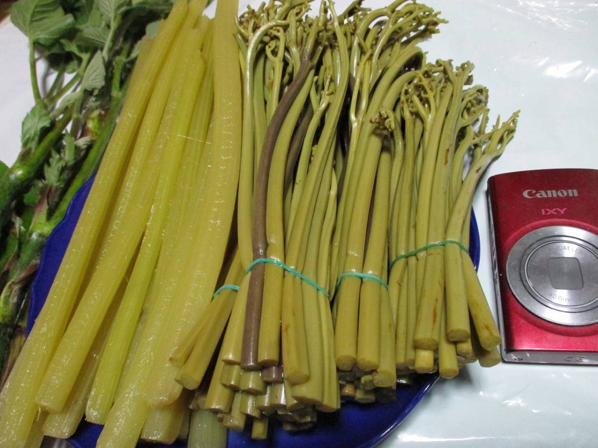 新品 岩手産 あく抜きわらび500ｇ 水ぶき500ｇ 山うど小2本5月29日12時まで の落札情報詳細 ヤフオク落札価格情報 オークフリー スマートフォン版