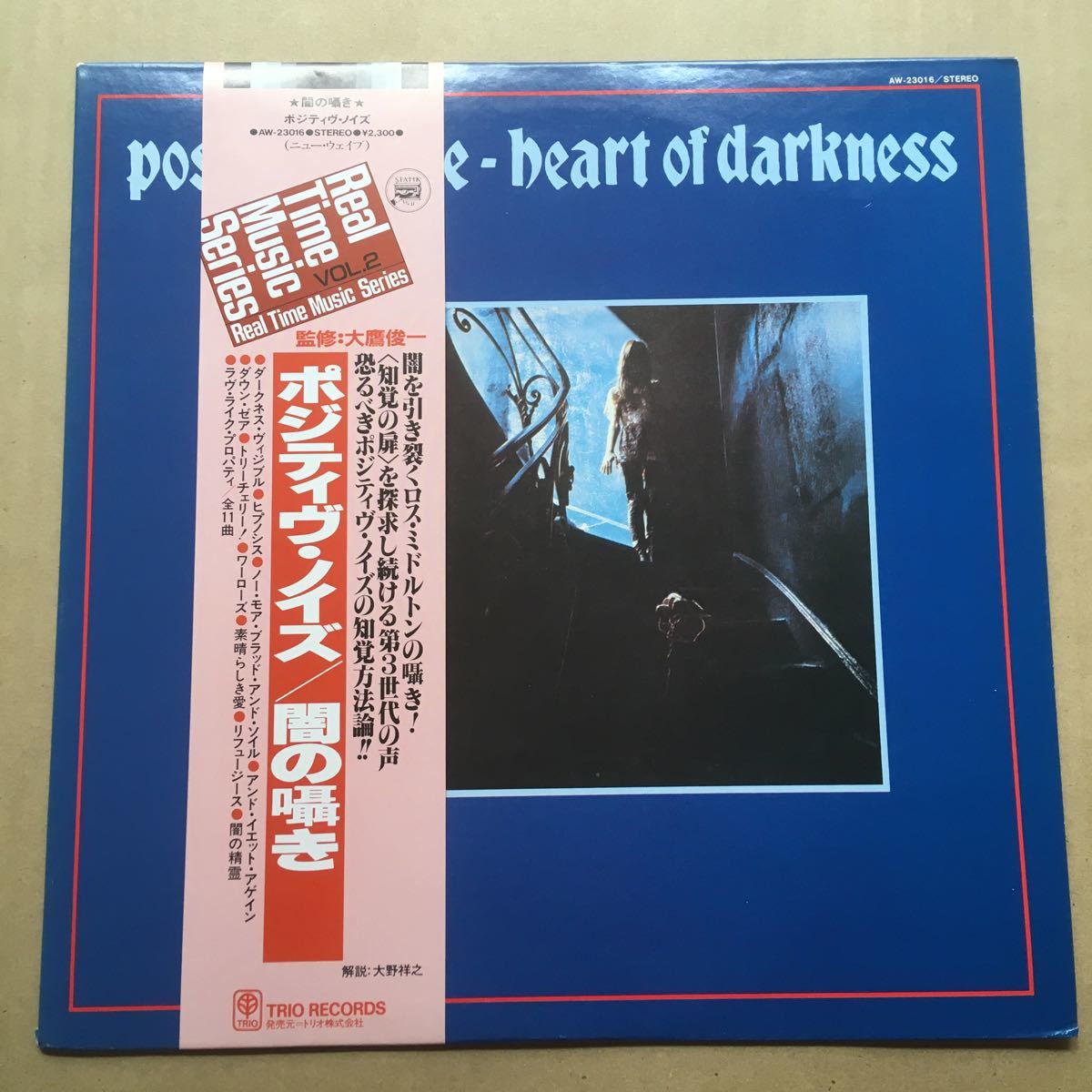 絶版本 帯付き 写真集 NEW YORK NOISE ART AND MUSIC New Wave☆国内盤LP☆ポジティブ・ノイズ/Positive Noise「Heart Of