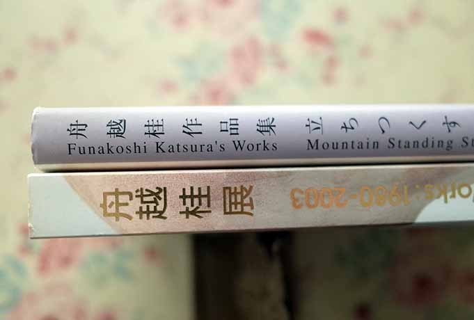 舟越桂 2冊セット 立ちつくす山 舟越桂作品集 舟越桂展 木彫作品 の落札情報詳細 ヤフオク落札価格情報 オークフリー スマートフォン版