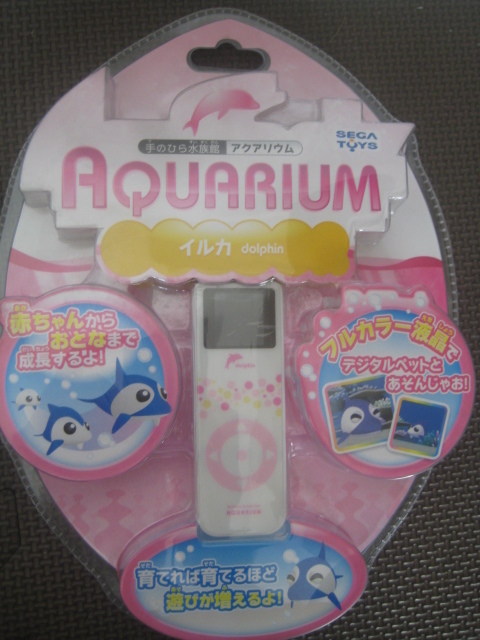手のひら水族館 アクアリウム AQUARIUM エンゼルフィッシュ イルカ 2
