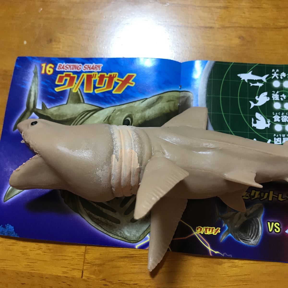 新品 Sharks Co ビッグサイズ ウバザメ シャーク Co の落札情報詳細 ヤフオク落札価格情報 オークフリー スマートフォン版