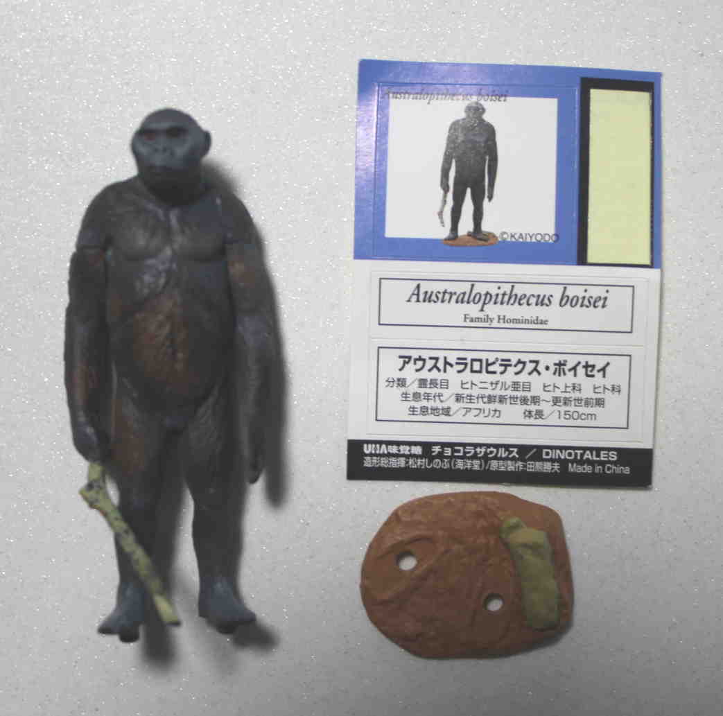 チョコラザウルス 恐竜 古代生物フィギュア 第2弾 アウストラロピテクス ボンセイ 海洋堂 の落札情報詳細 ヤフオク落札価格情報 オークフリー スマートフォン版