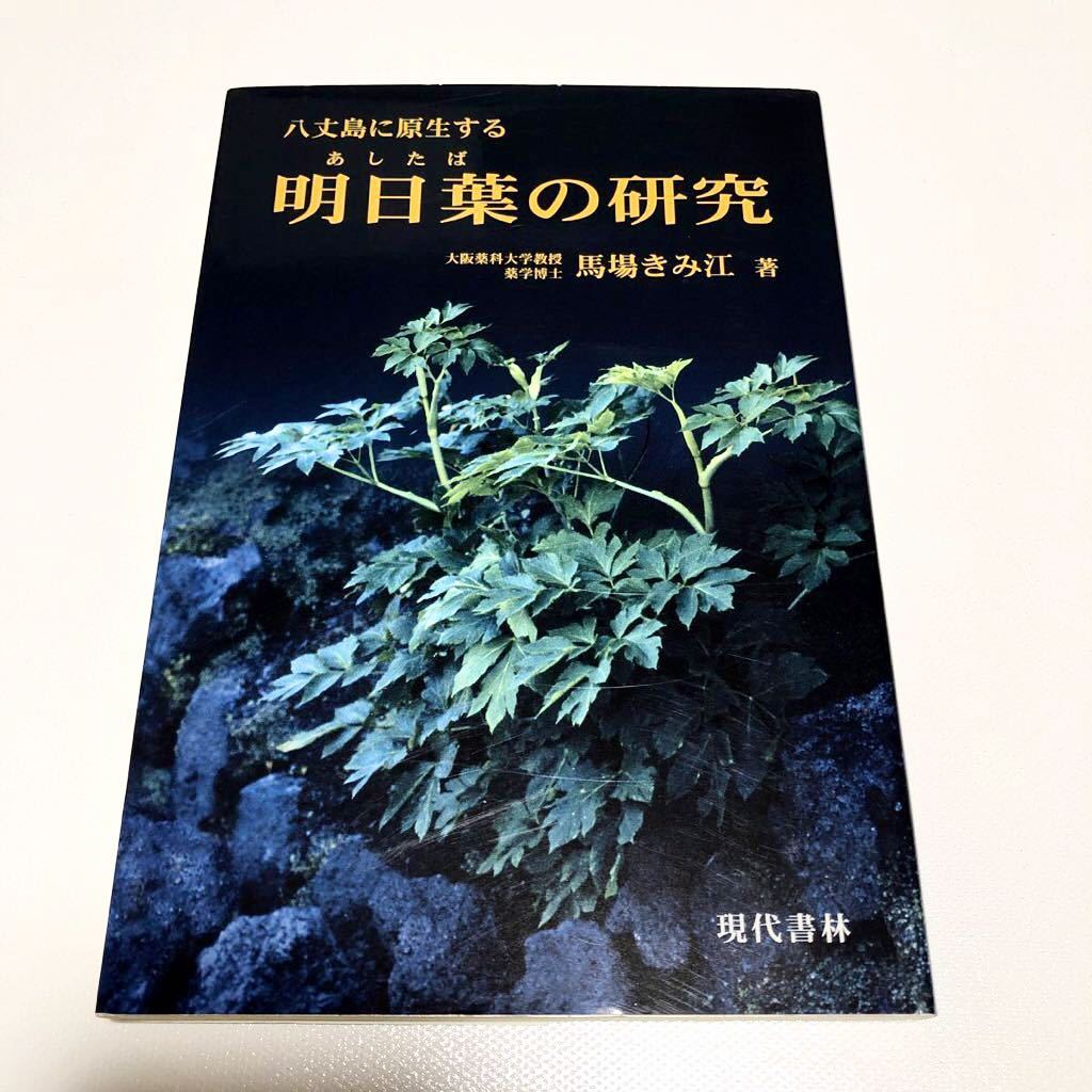 明日葉頒布会 サービス券 - その他