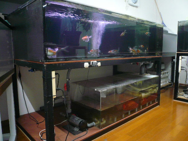 アクリル 水槽 1800 900 ｘ450 オーバーフロー濾過 ポンプ レイシー 台座付きセット の落札情報詳細 ヤフオク落札価格情報 オークフリー スマートフォン版