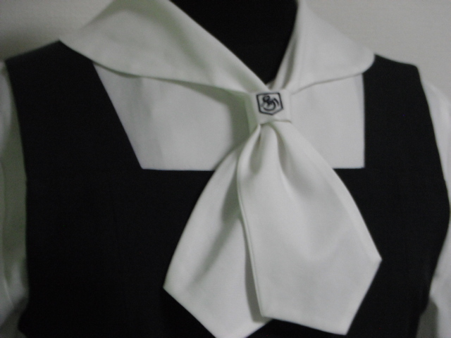 新品】▽ コスプレ衣装▽ D1006 ▽ 佐賀 清和学園 高 ▽ ストライプ地 
