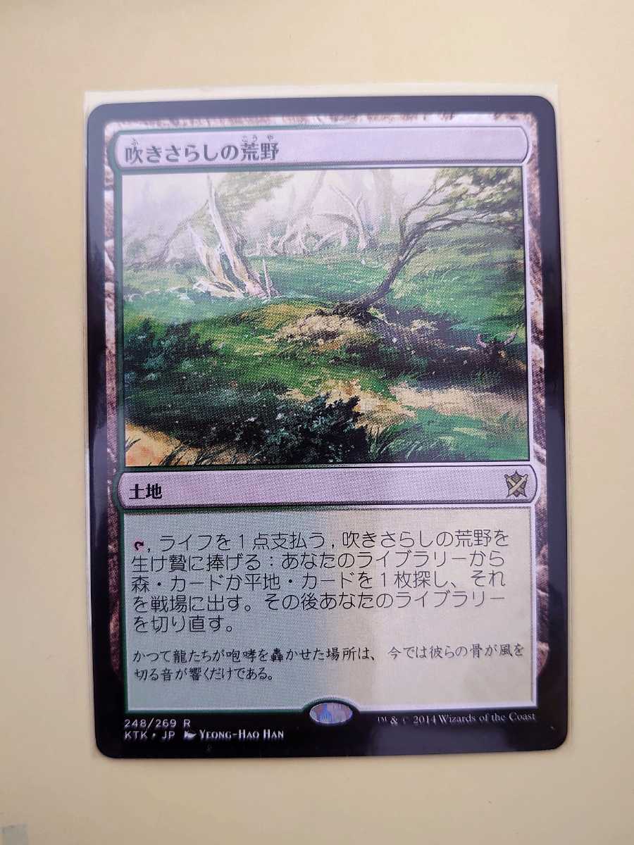 中古】マジック・ザ・ギャザリング MTG 溢れかえる岸辺 吹きさらしの