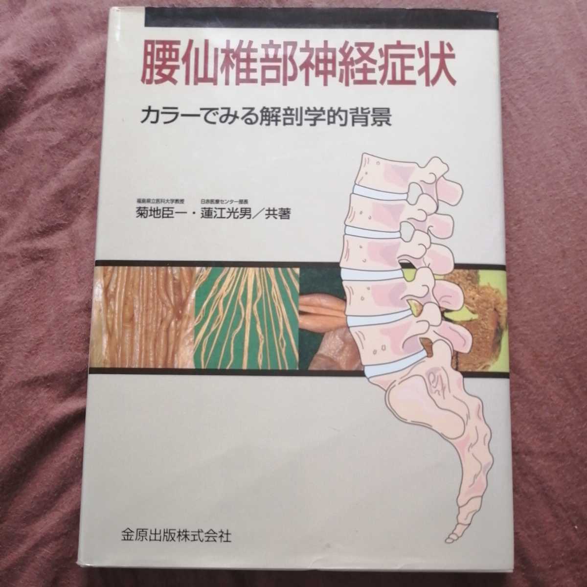 腰仙椎部神経症状 カラーでみる解剖学的背景 Amazon.co.jp: 腰仙椎部神経症状: カラーでみる解剖学的背景