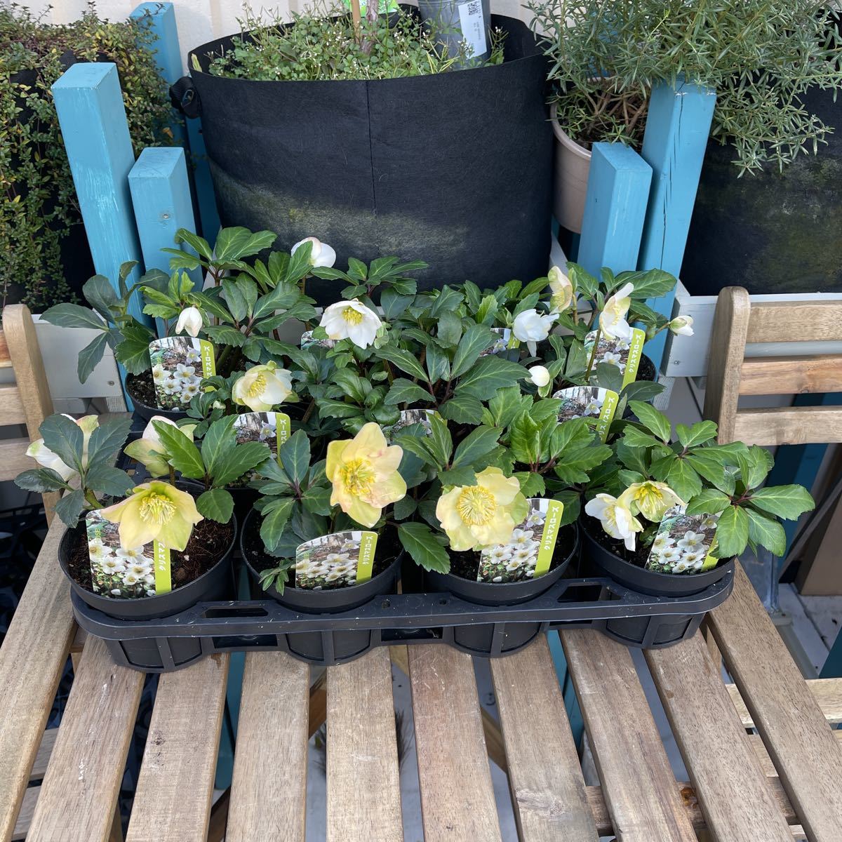 中古 An Anアンアン19年12月23日号 クリスマス特大号 の落札情報詳細 ヤフオク落札価格情報 オークフリー スマートフォン版