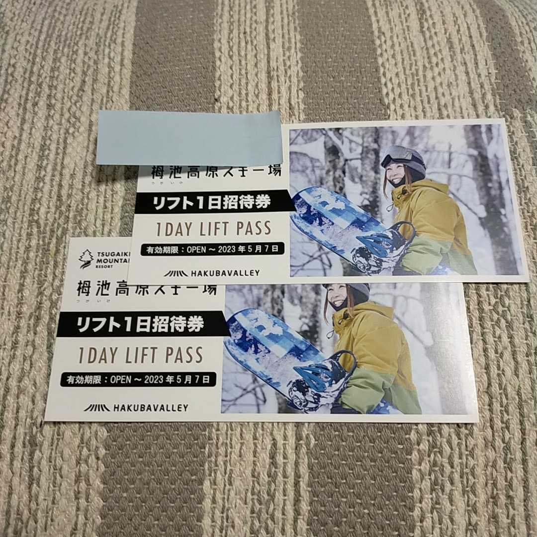 栂池高原スキー場 一日券 栂池高原スキー場 一日券 公式通販