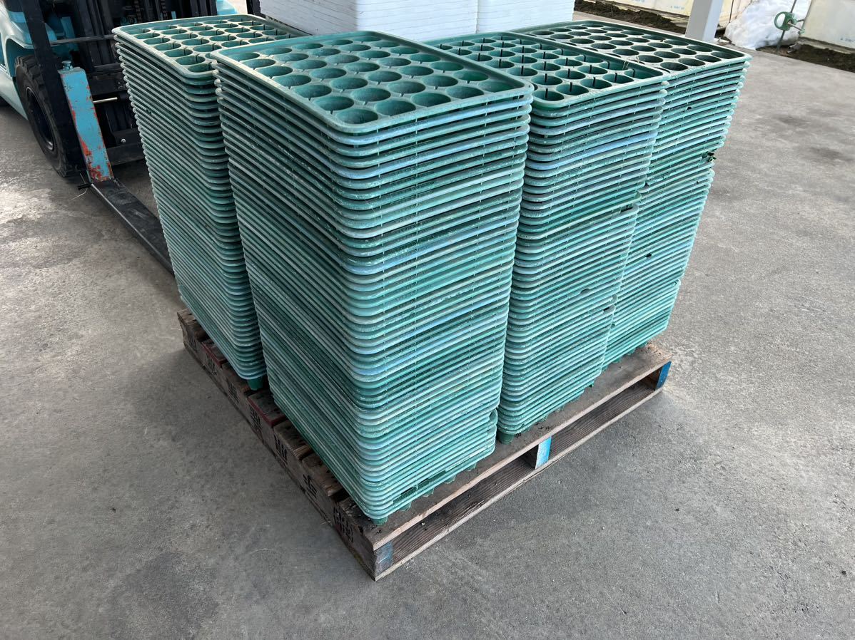 中古品　すくすくトレイ35穴　１００枚 中古品 すくすくトレイ35穴 100枚 イチゴの育苗におすすめです