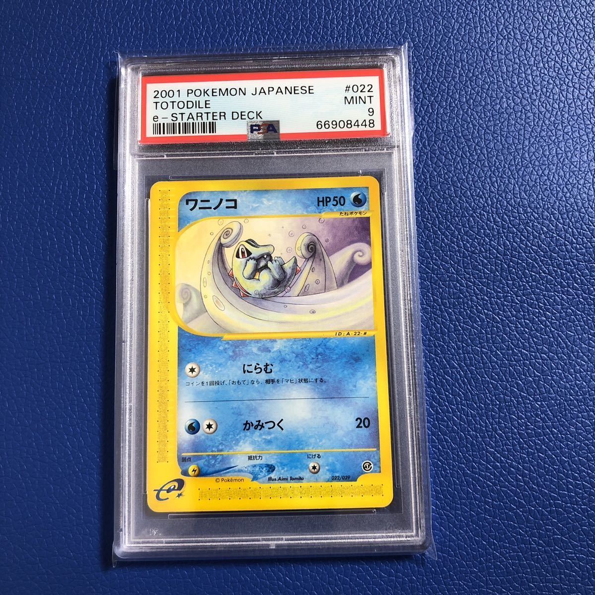 ワニノコ カードe 第一弾アンリミ