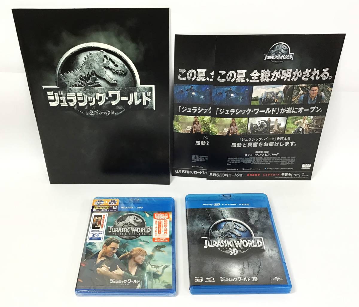 TOMOO DVD未開封 超激レア！TOMOOさん 未開封DVD&特典缶バッジ&DVDのチラシ&未