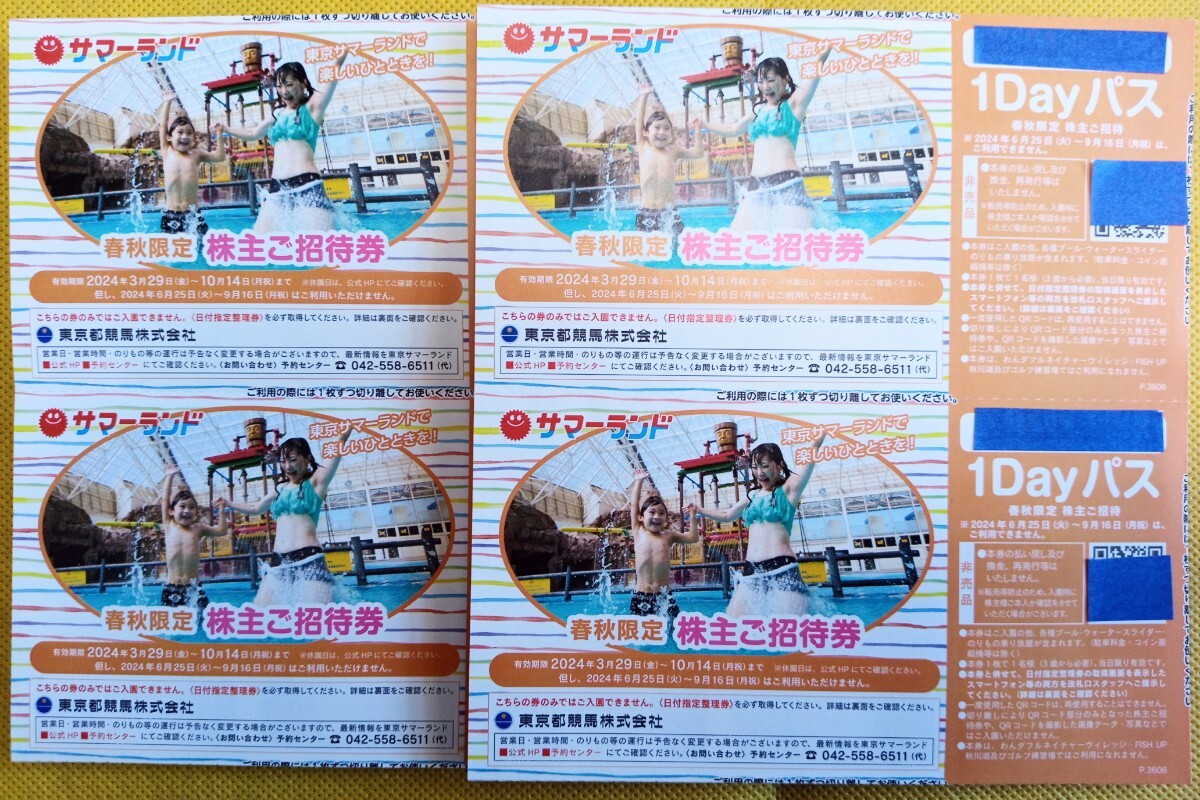 サマーランド　1dayパス　夏券　6枚　匿名配送　フリーパス　株主優待　チケット サマーランド 株主優待券 ６枚セット 夏休み利用可能 即日匿名配送