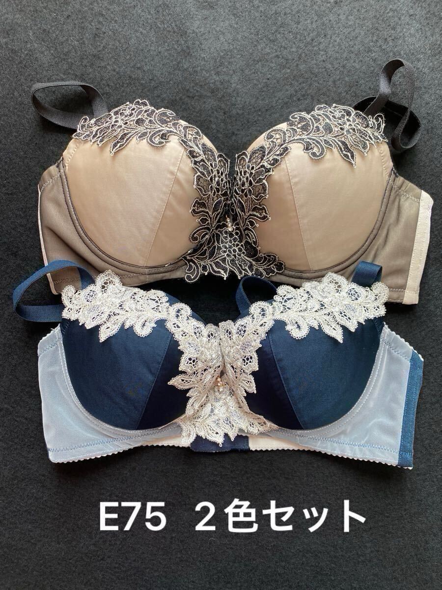 サルート 店舗限定 49G モロッコナズナ E65 メイン ソング M PU 