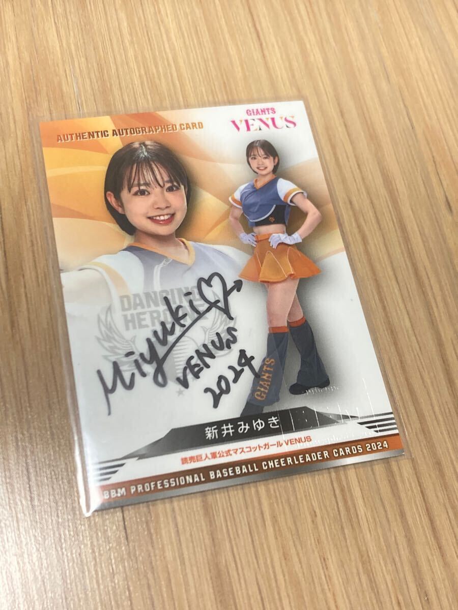 新井みゆき VENUS 渋かっ レギュラーカード BBM 2024 チアリーダー