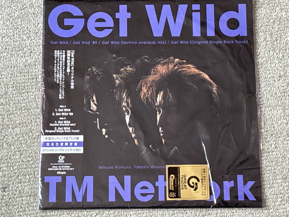 globe Get Wild TK Remix 未開封品 非売品
