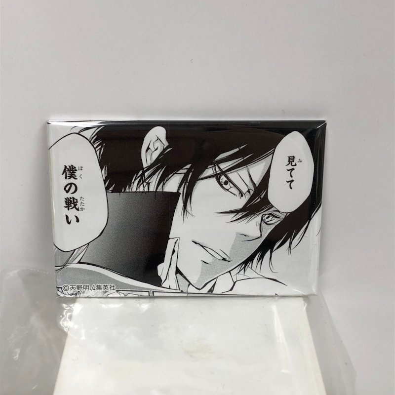 家庭教師ヒットマンREBORN! 天野明展 京都 リボーン キャラバッジ