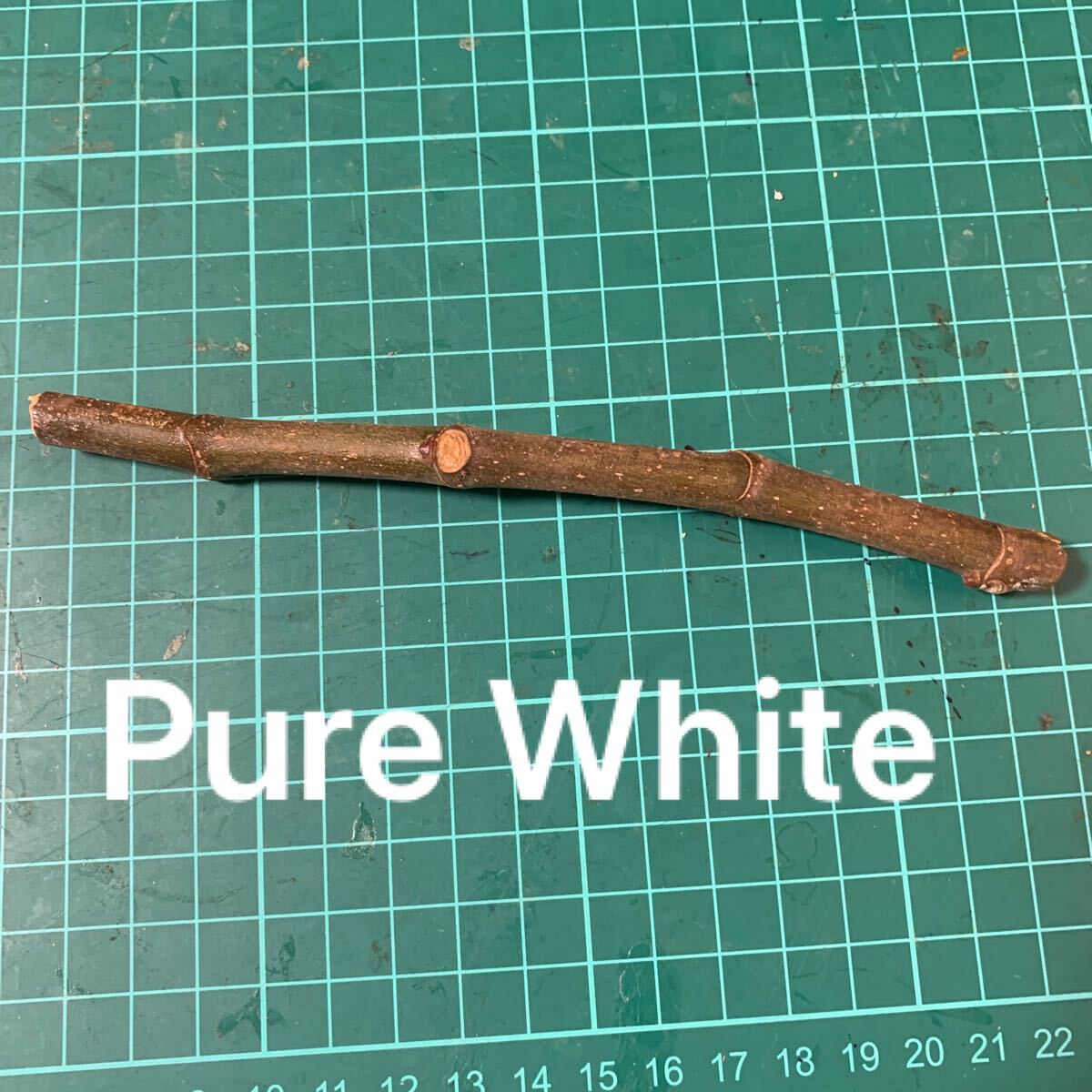 【中古】pure White Jr綾瀬なおの落札情報詳細 Yahooオークション落札価格検索 オークフリー 