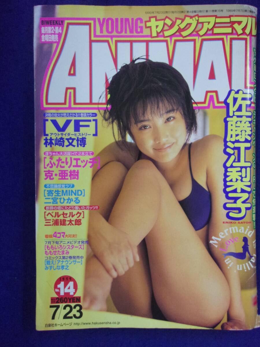 松田純 グラビア切り抜き ヤングアニマル 1999年2月26日号 白泉社 松田純 グラビア切り抜き ヤングアニマル 1999年2月26日号 白泉社