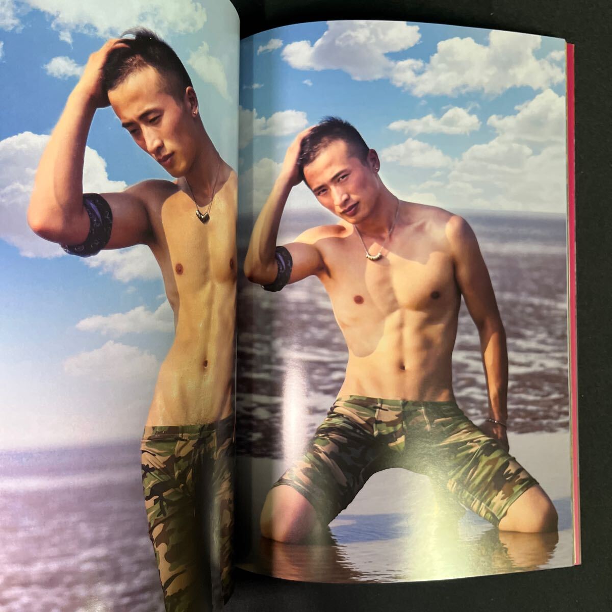 双極様　　レスリーキー　「RYAN CHAN 写真集【dakota 21】 Amazon.co.jp: RYAN CHAN ライアンチャン レスリーキー LESLIE