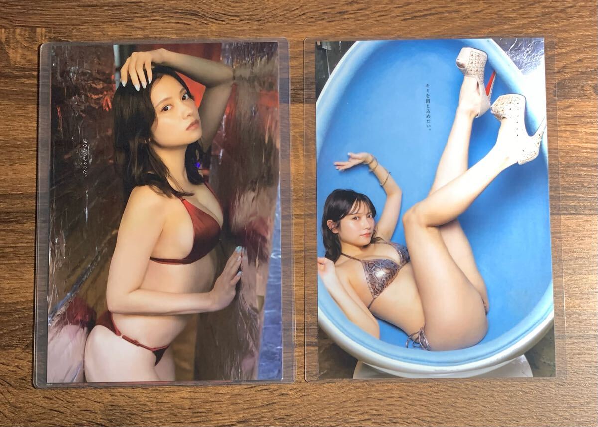 ヤングキング　増刊　エトランゼ 青木裕子 山田まりや 西原麻衣 宮内知美 ヤングキング 増刊 エトランゼ 青木裕子 山田まりや 西原麻衣