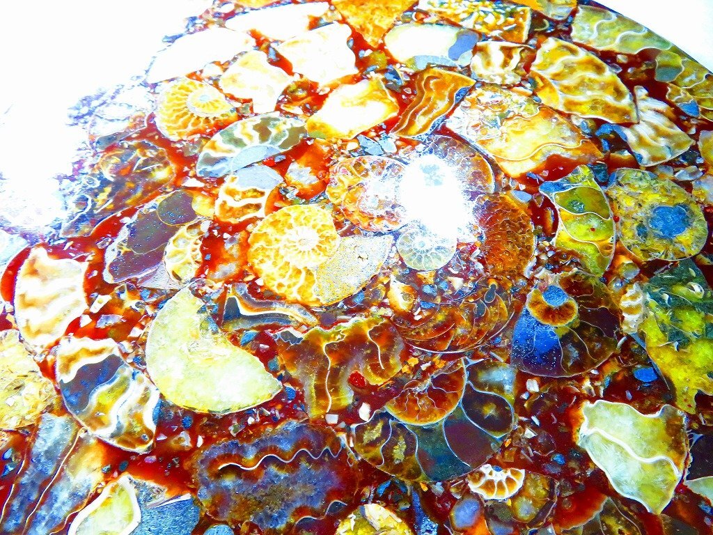 綺麗なオパール化 やや大きめアンモナイト化石 92g 多彩な発色が