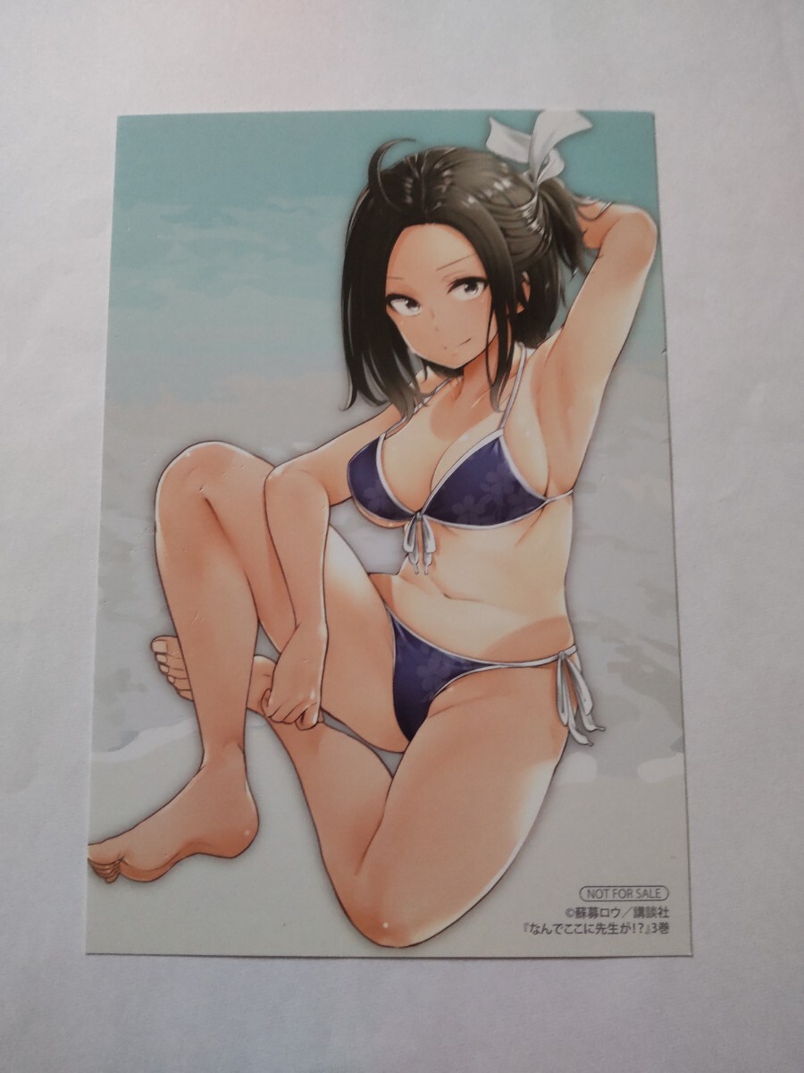 タペストリー　立花千鶴 描き下ろしB2タペストリー 「なんでここに先生が!? Blu-ray BOX」 ゲーマーズ購入特典 今立花千鶴 描き下ろしB2タペストリー 「なんでここに先生が