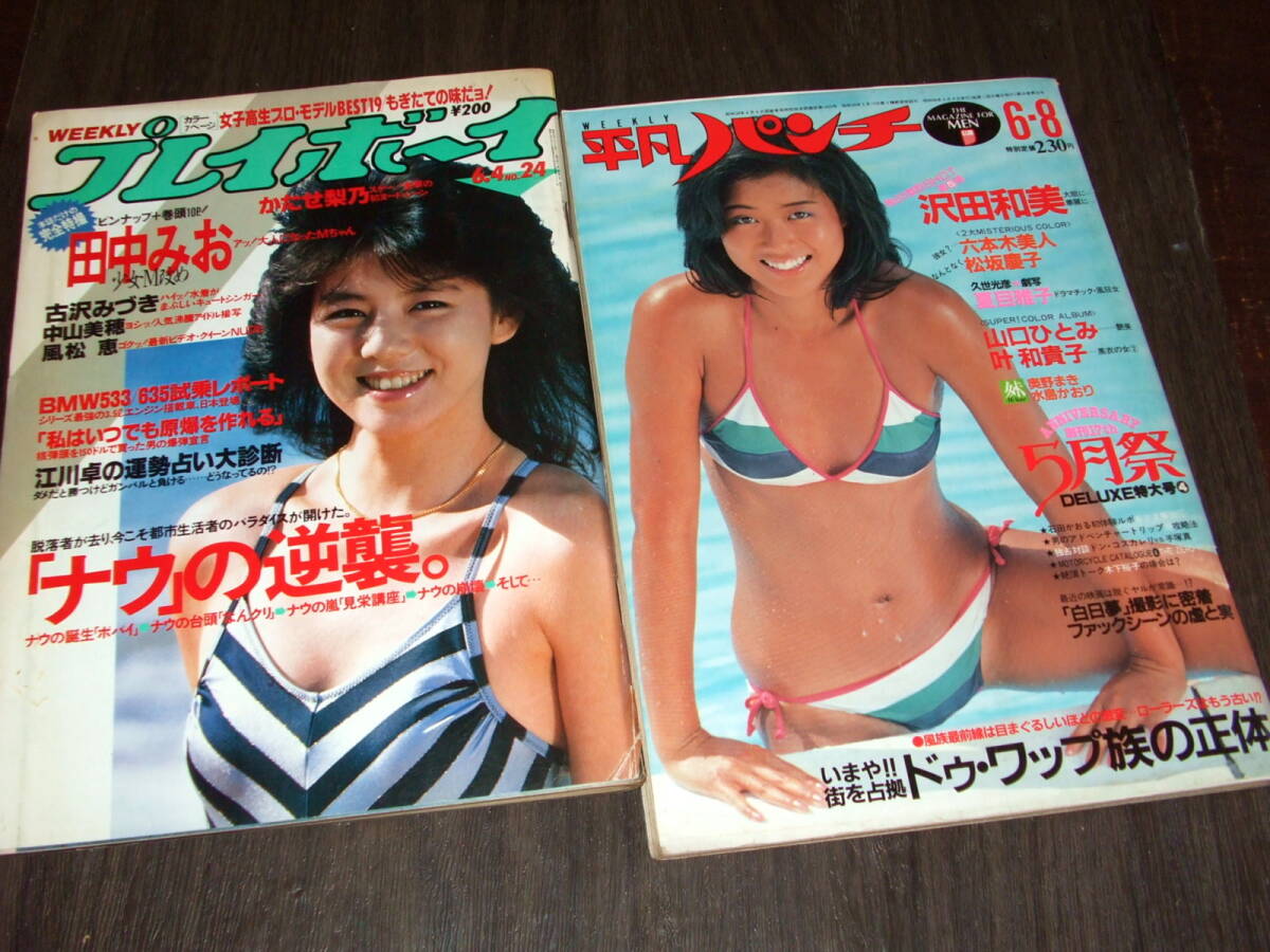 目立った傷や汚れなし】田中みお 写真集 週刊プレイボーイ特別