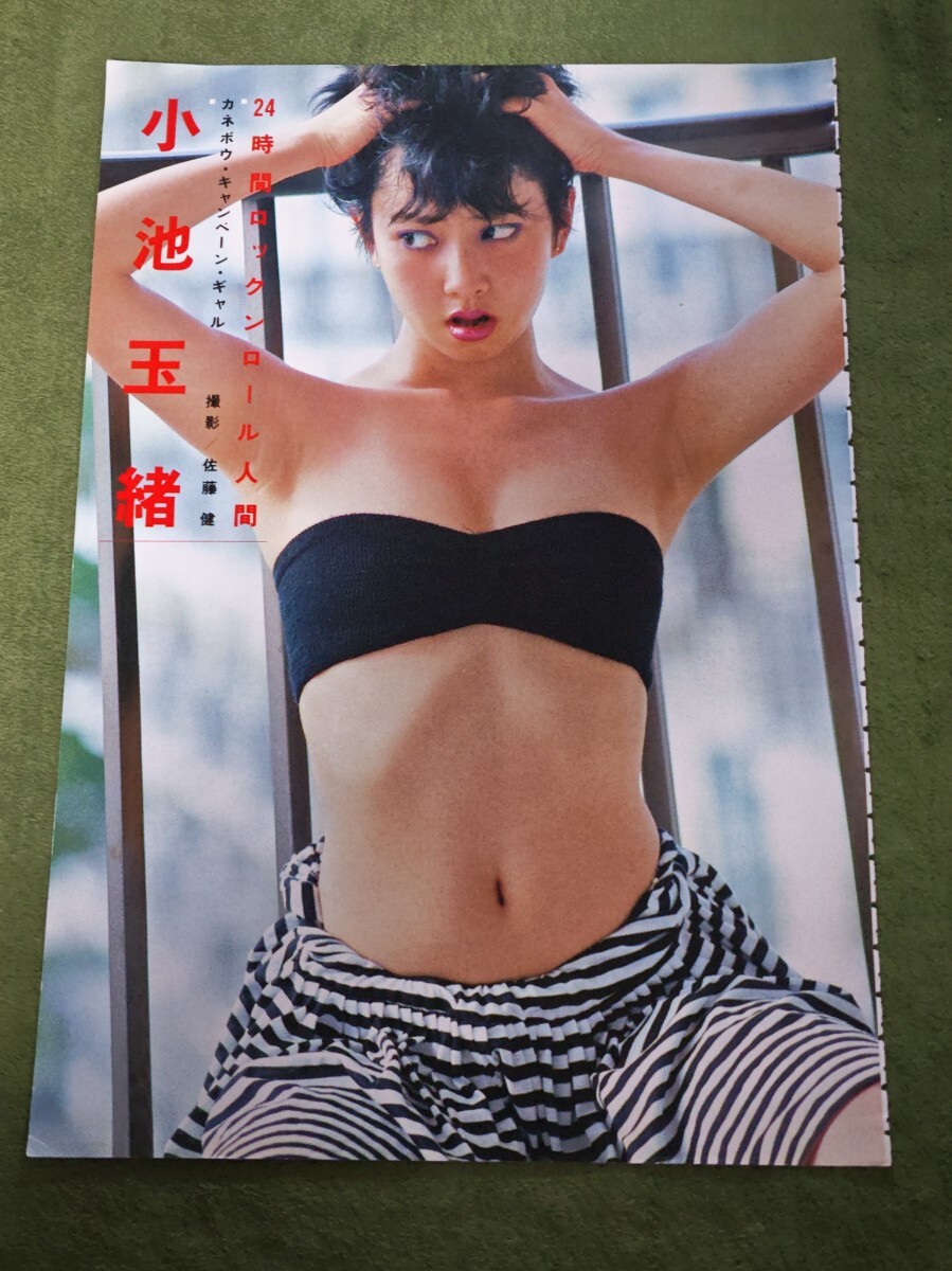 写真集 茂野幸子 18歳セミヌード 君だけに愛を 朝倉陽子 1988年初版