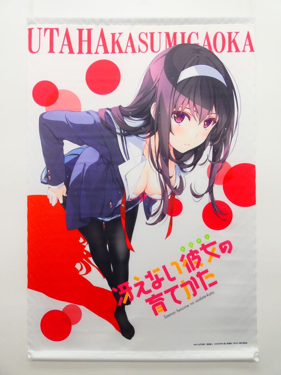 冴えない彼女の育てかた♭/全巻連動購入特典/深崎暮人描き下ろし お