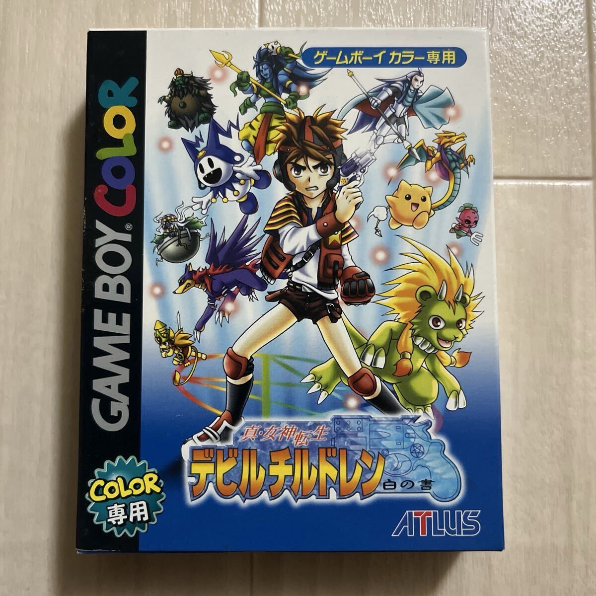 超貴重！ デビルチルドレン 当選品 カード 要未来 ベール 非売品 限定